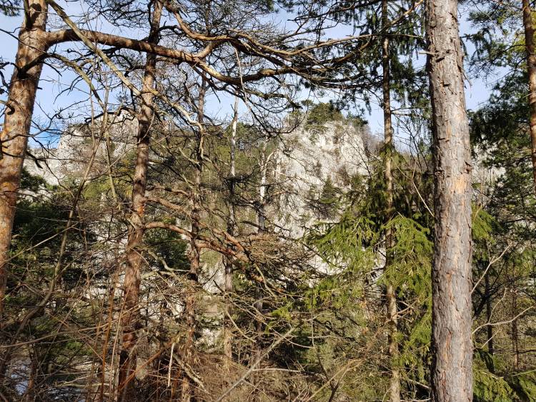 20190209_100515.jpg