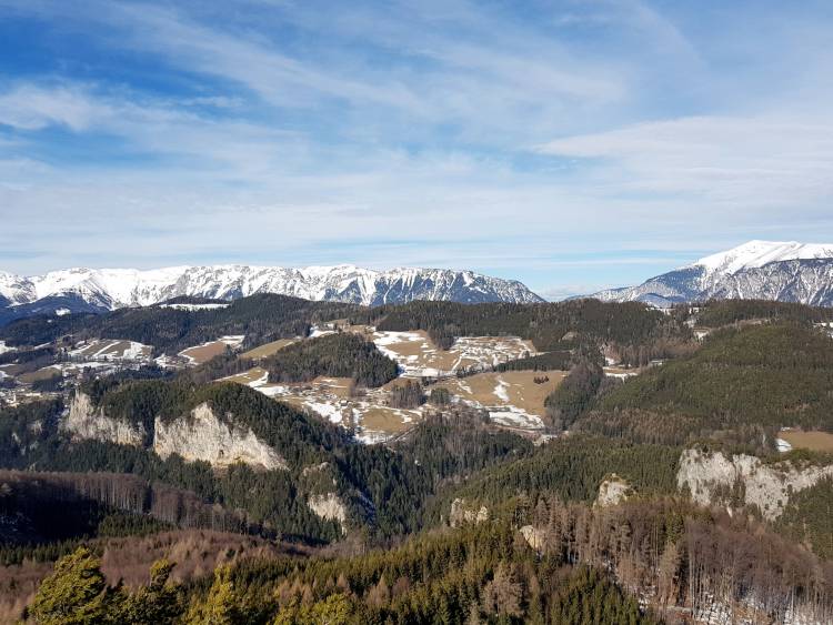 20190209_112332.jpg
