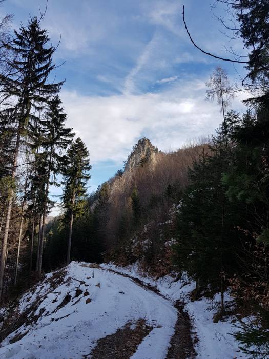 20190209_122035.jpg