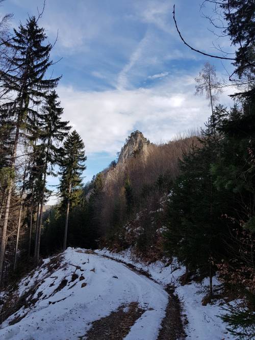20190209_122035.jpg