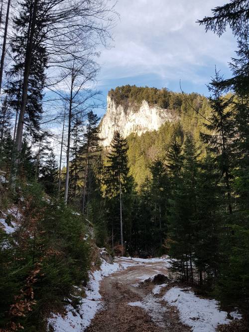 20190209_123055.jpg