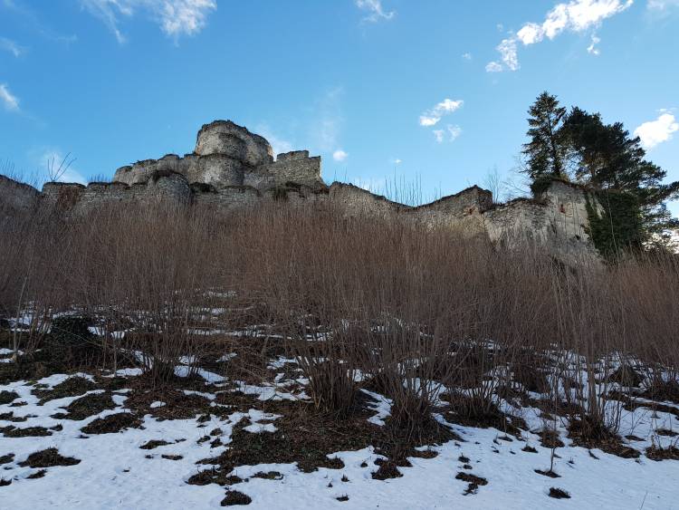 20190209_140715.jpg