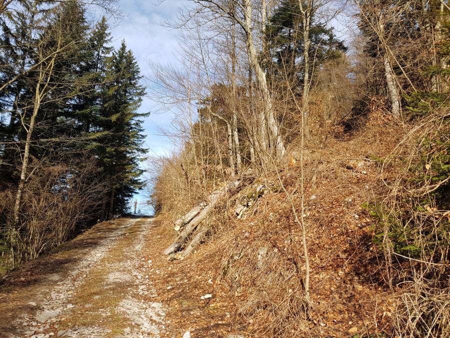 20190223_094258.jpg