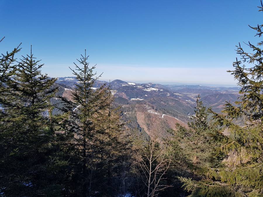 20190223_112302.jpg