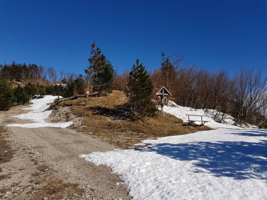 20190223_112929.jpg