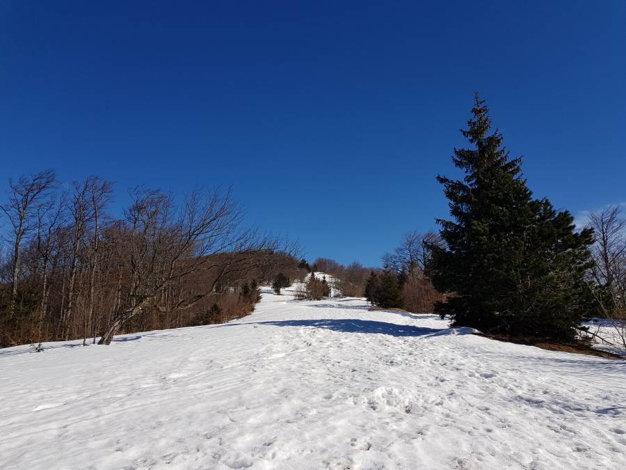 20190223_113747.jpg