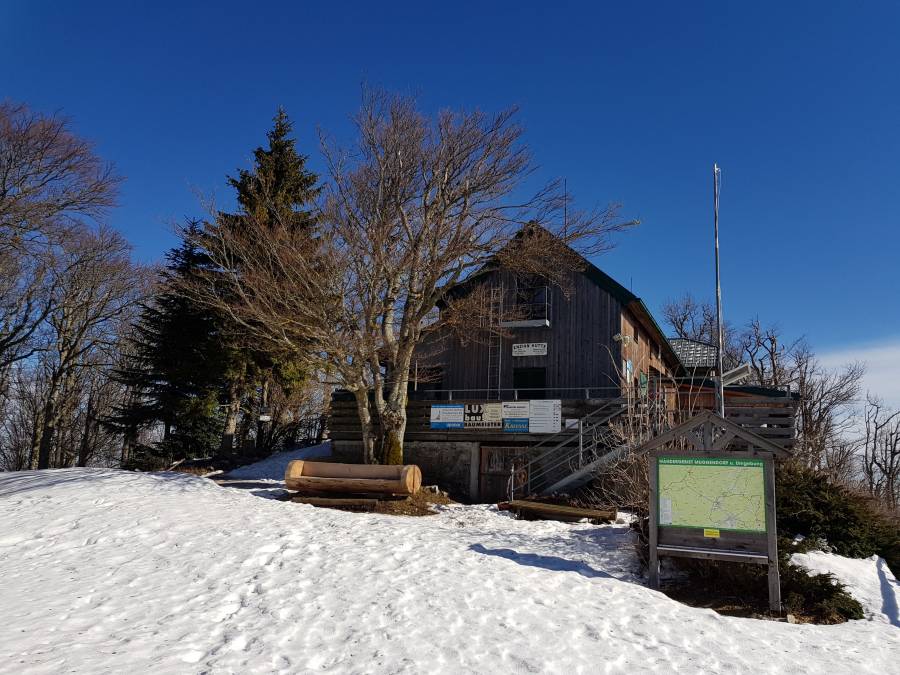20190223_114947.jpg
