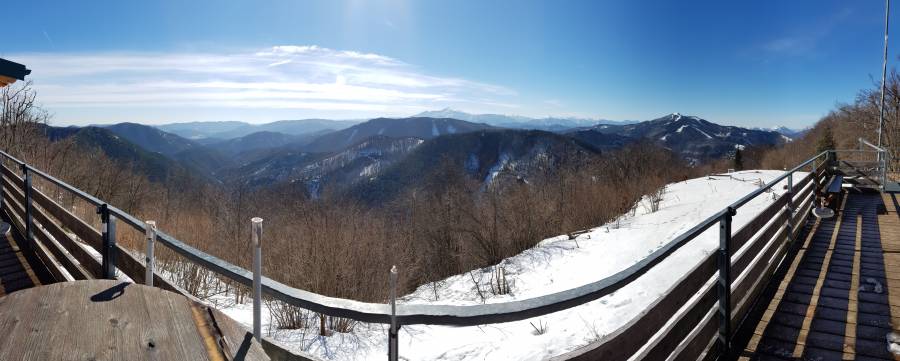 20190223_115136.jpg