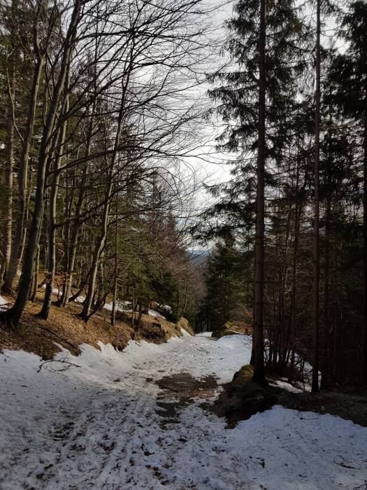 20190223_133138.jpg