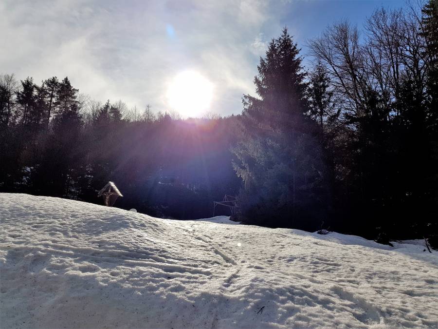 20190223_140600.jpg