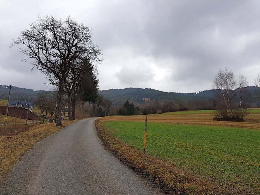 20190302_094733.jpg