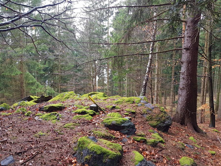 20190302_104526.jpg