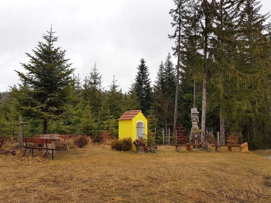 20190302_110428.jpg