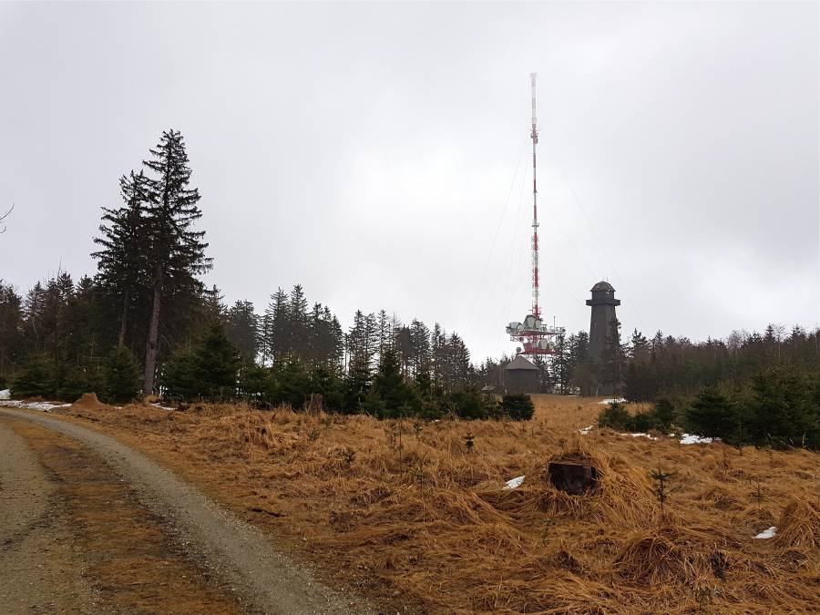 20190302_114350.jpg