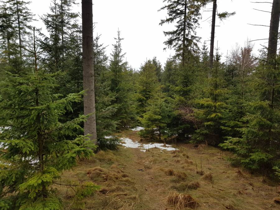 20190302_121437.jpg