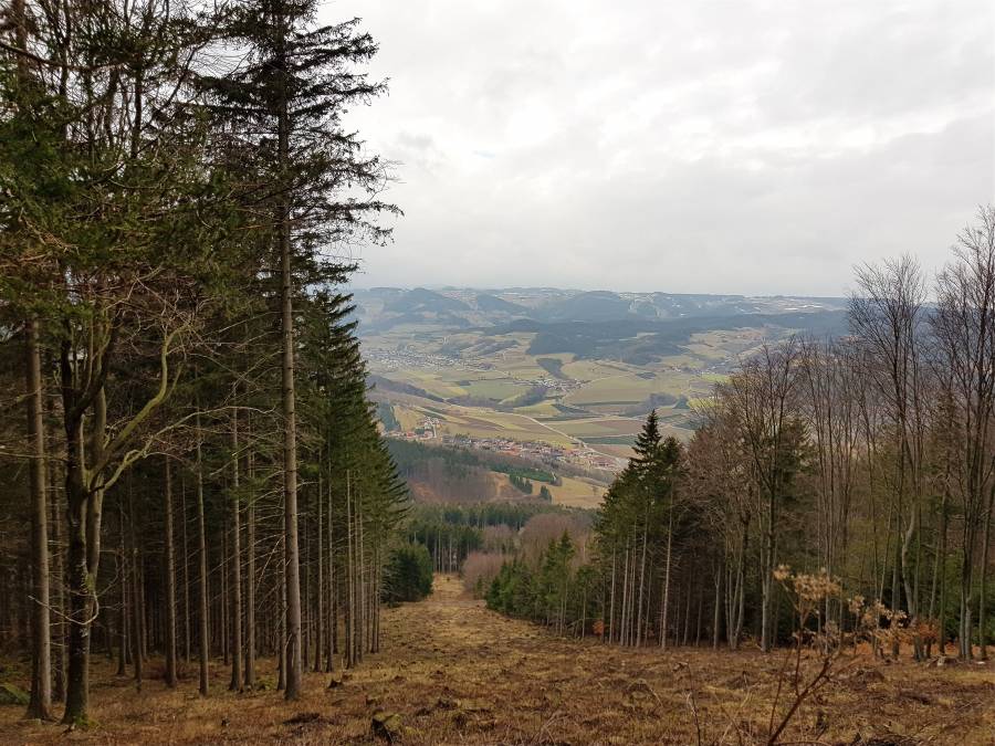 20190302_123746.jpg