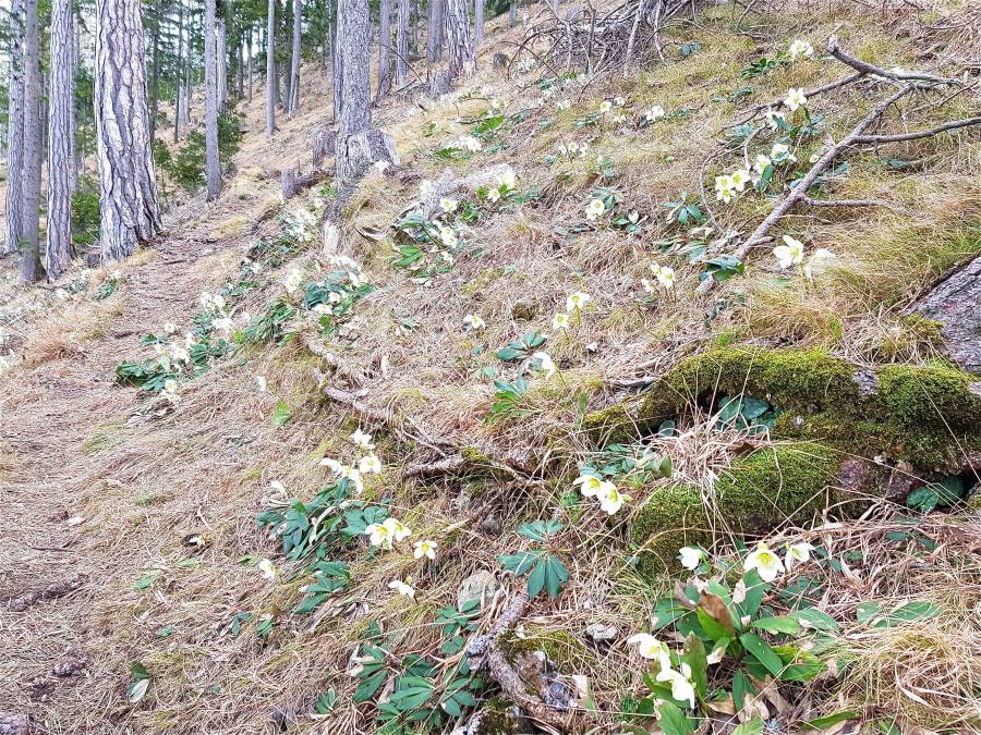 20190309_102325.jpg