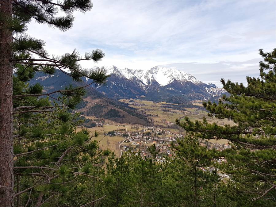 20190309_103056.jpg