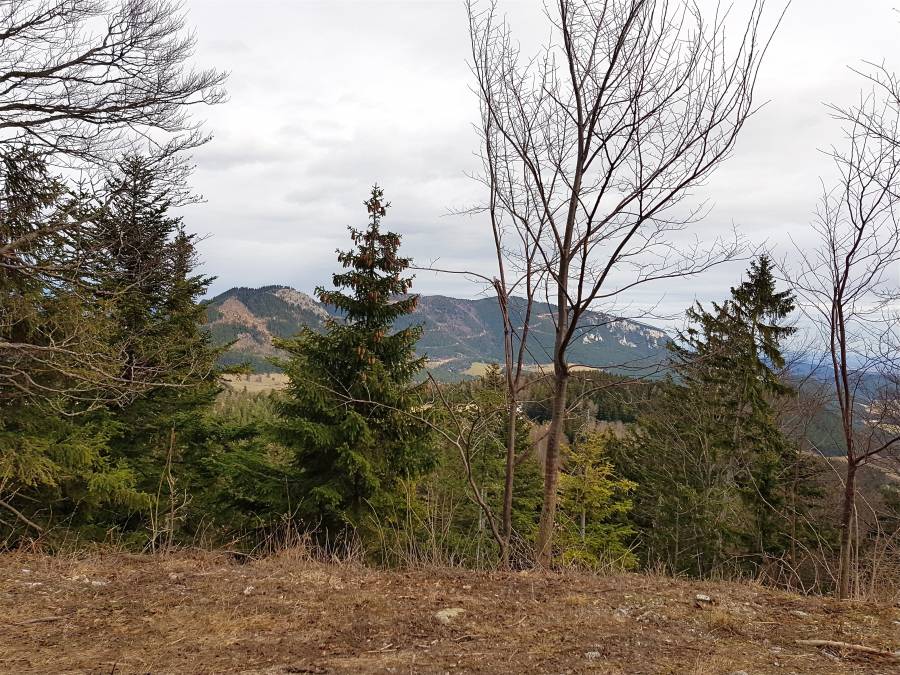 20190309_112644.jpg