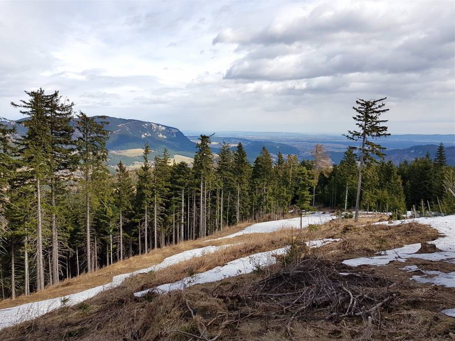 20190309_121614.jpg