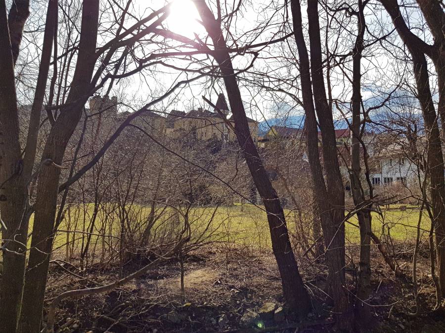 20190309_145426.jpg