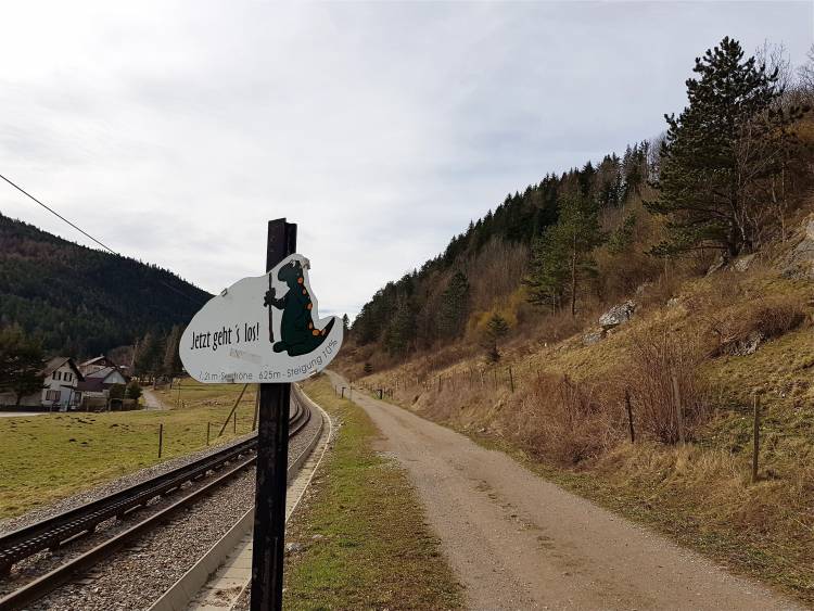 20190317_094418.jpg
