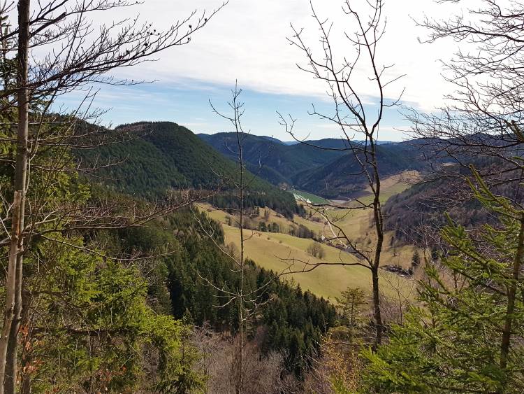 20190317_101948.jpg
