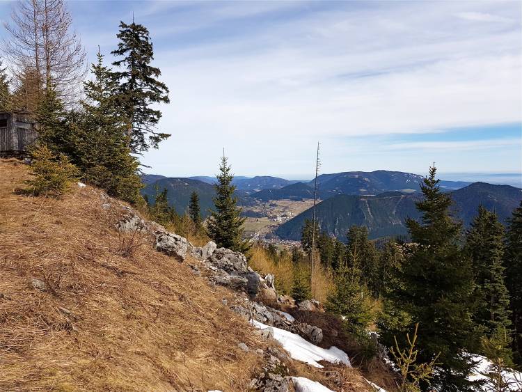 20190317_111234.jpg