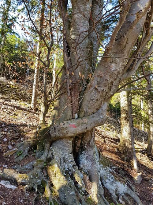 20190317_140244.jpg