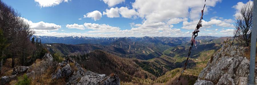 20190406_131823.jpg