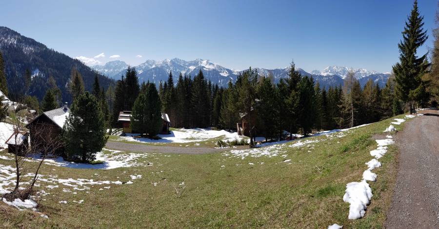 20190501_110127.jpg