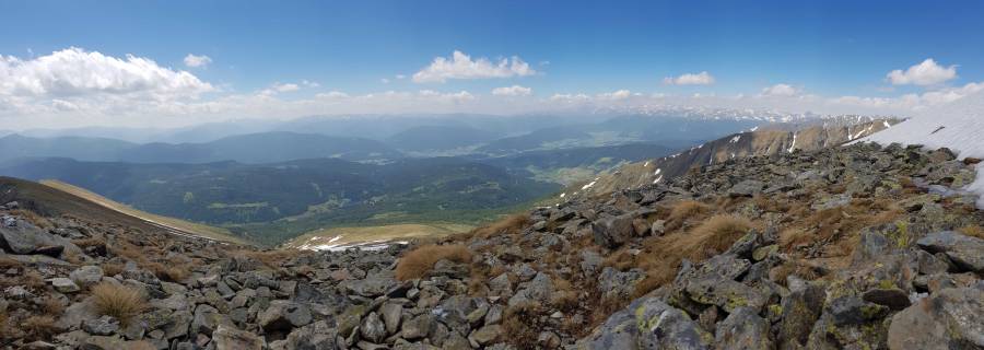 20190613_114454.jpg
