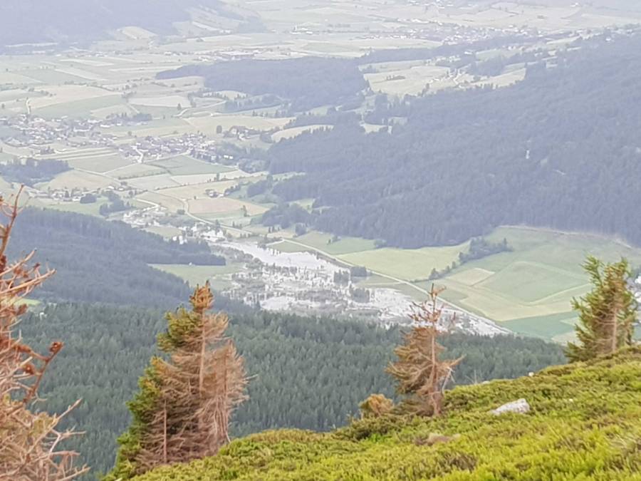 20190615_100244.jpg