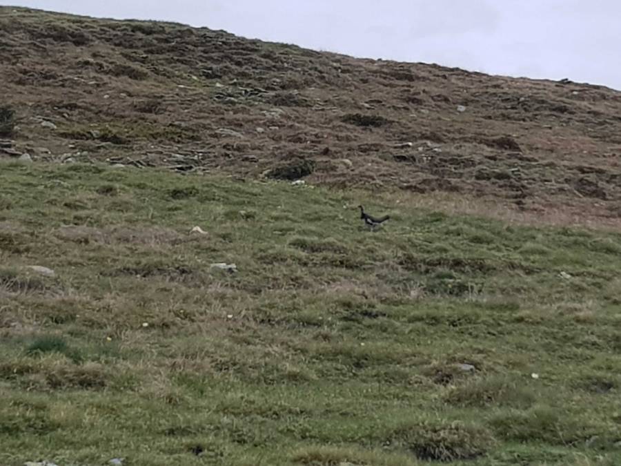 20190615_103855.jpg
