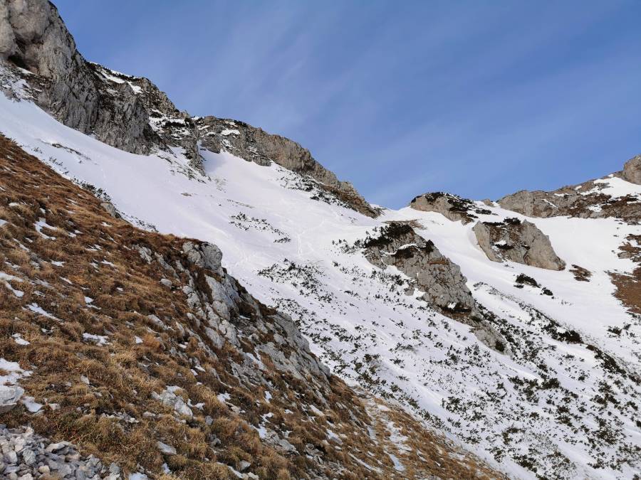 img_20200125_094405.jpg