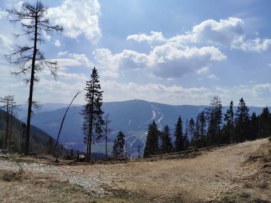 img_20200425_112245.jpg