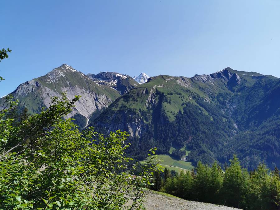 img_20200624_094617.jpg