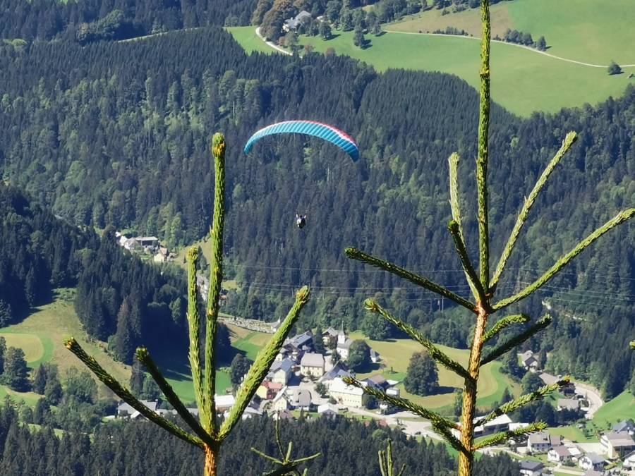 img_20200905_131803.jpg