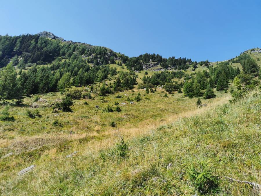 img_20200914_141221.jpg