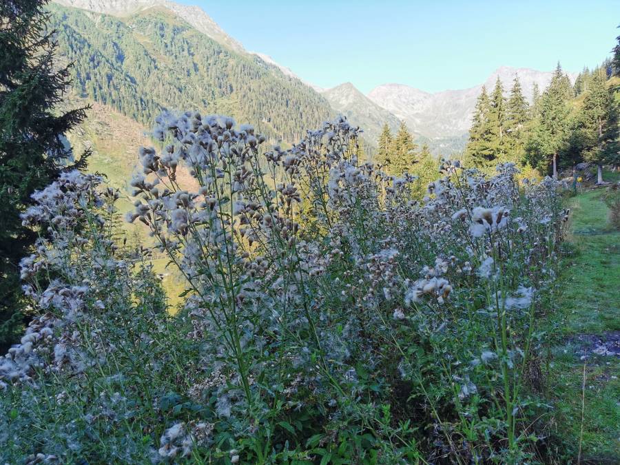 img_20200918_082713.jpg
