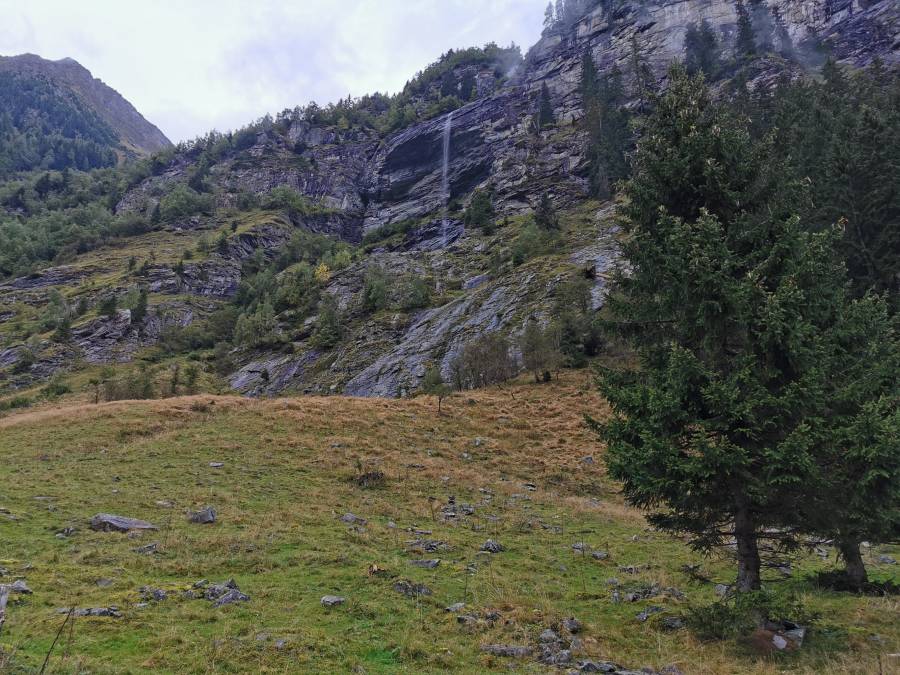 img_20200923_154541.jpg