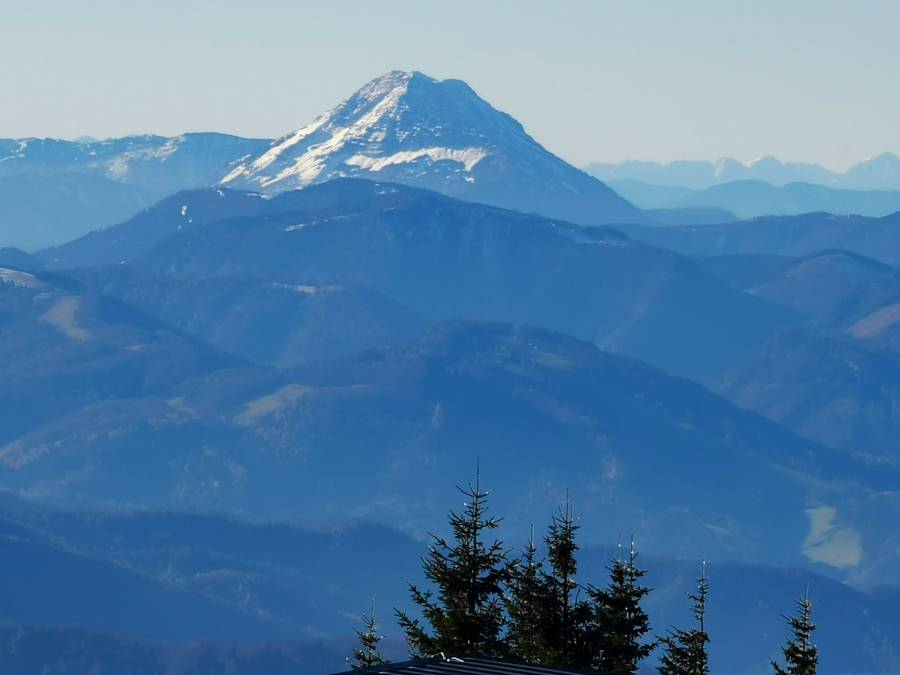 img_20201124_124815.jpg