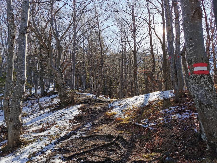 img_20201125_113610.jpg
