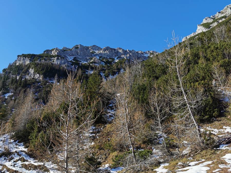 img_20201126_111015.jpg