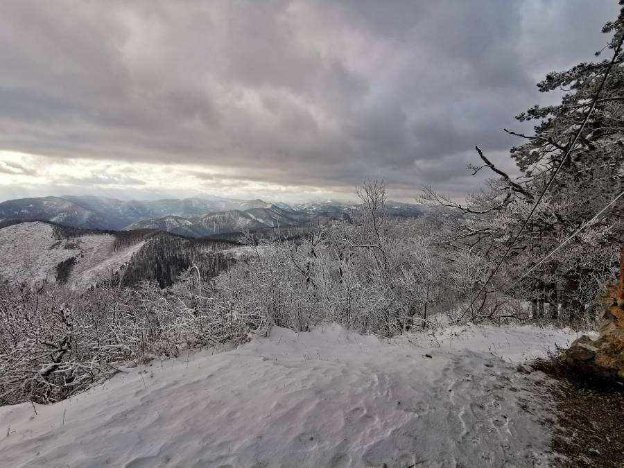 img_20201226_134143.jpg