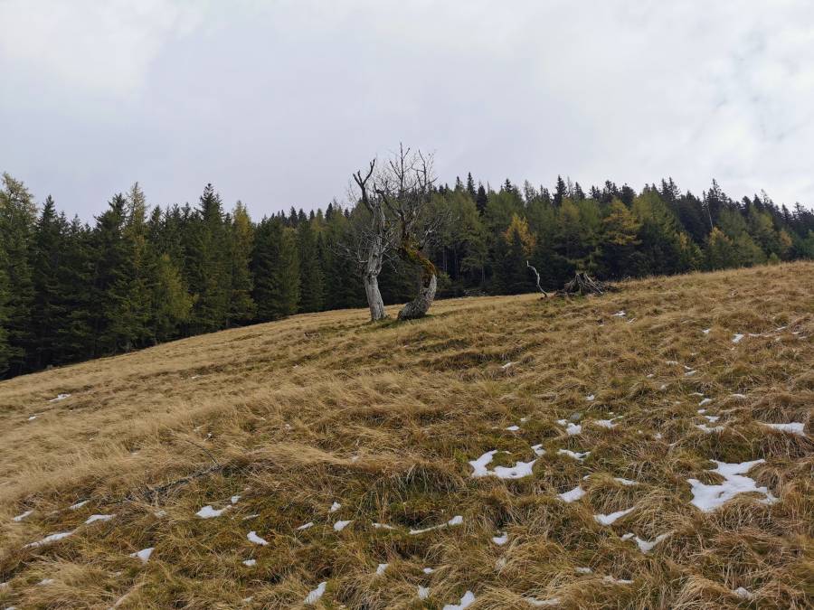 img_20211016_145115.jpg