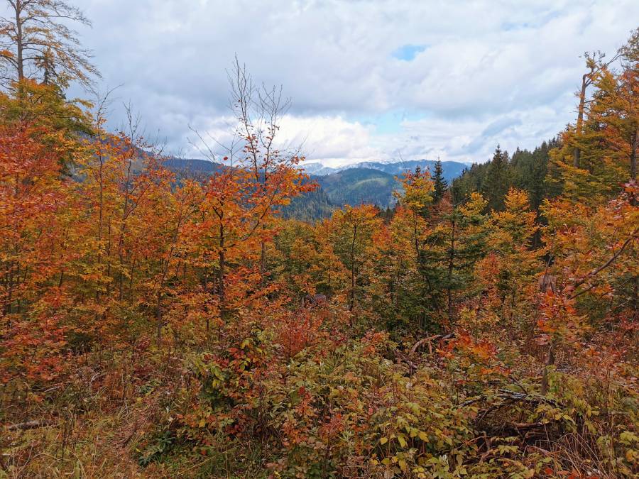 img_20211016_152338.jpg
