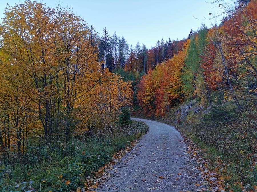img_20211024_084010.jpg