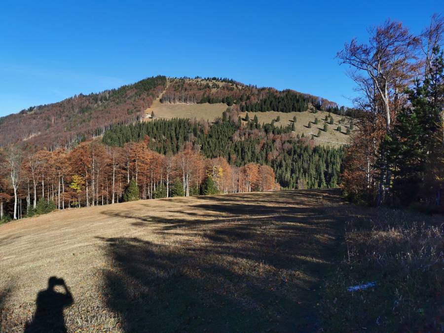 img_20211030_100105.jpg