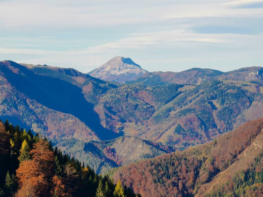img_20211030_100123.jpg